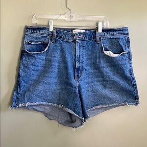 Abercrombie and Fitch Dad Shorts